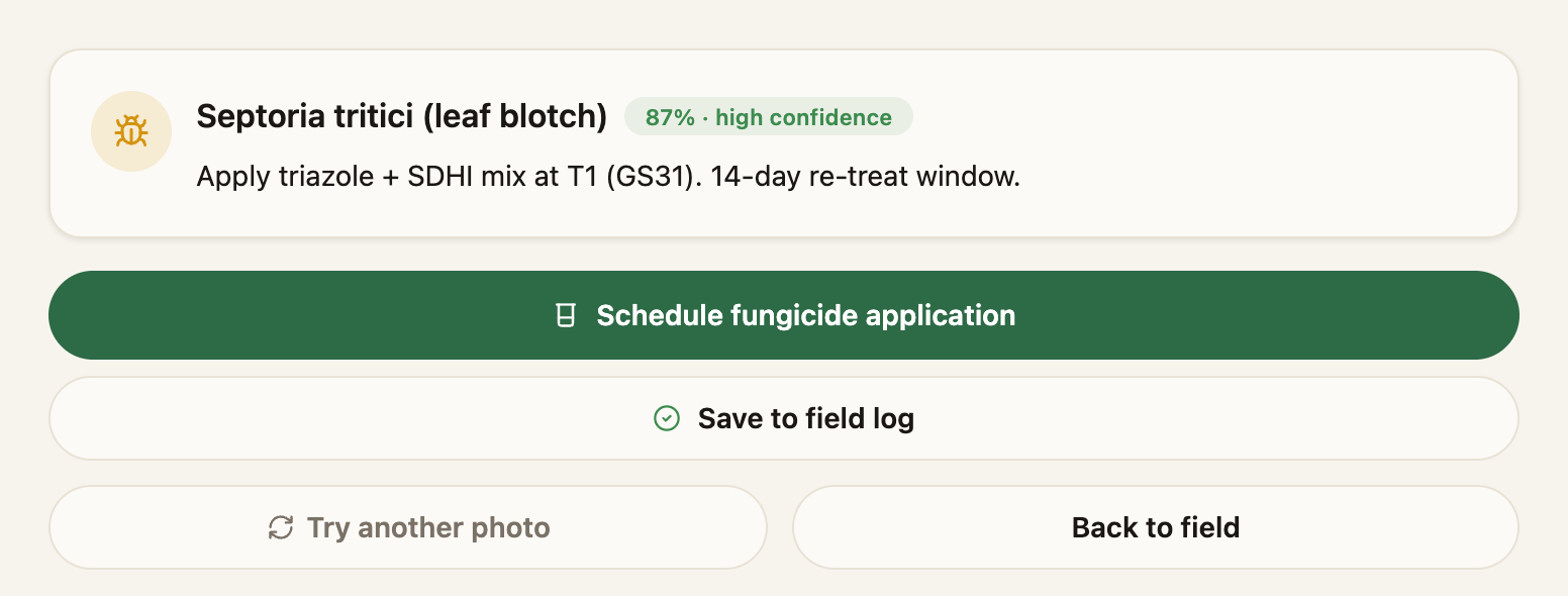 Scout diagnosis reading Septoria tritici, 87% high confidence, with a triazole and SDHI mix recommended at T1
