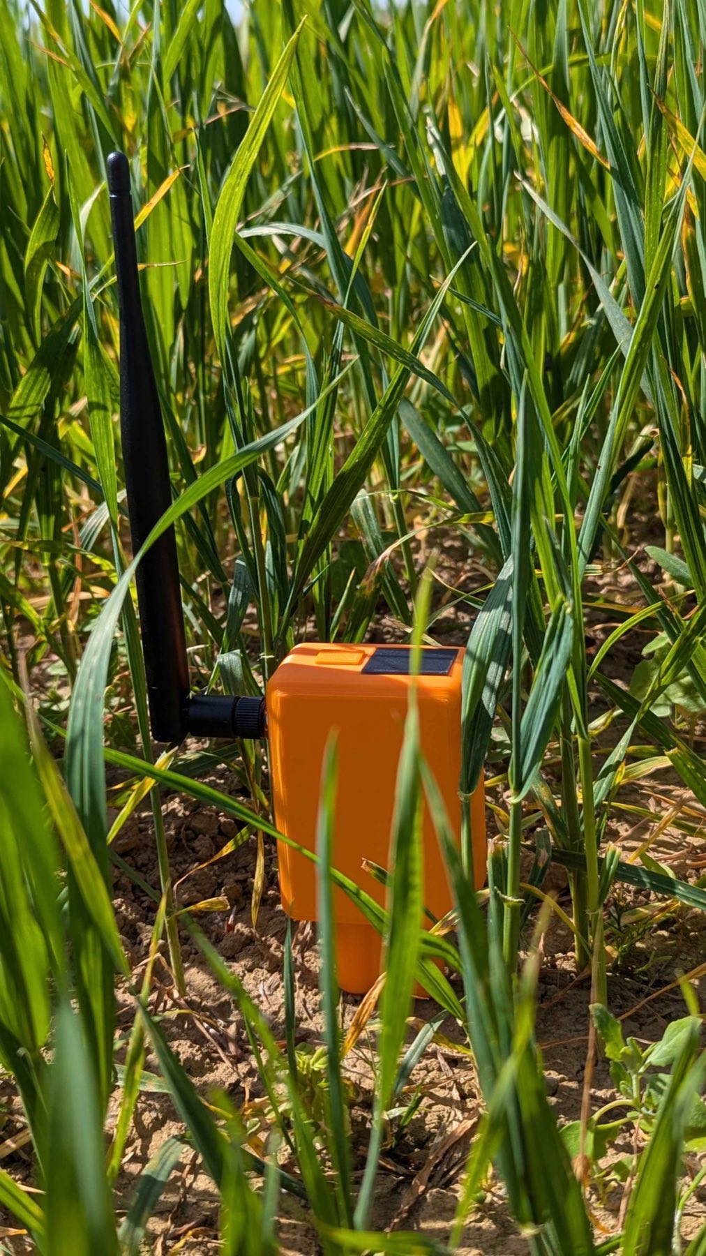 In the field